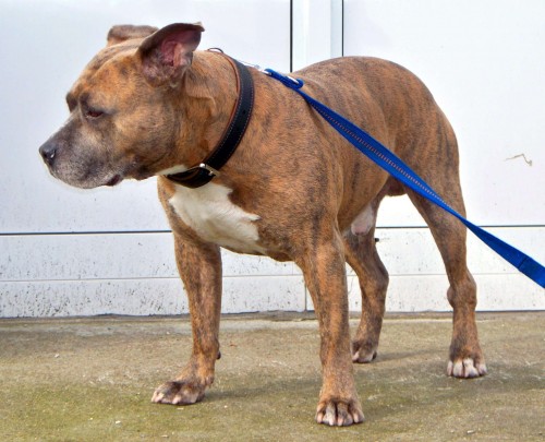 hat mich doch vorbeigelassen