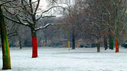 Die Markierungen an den Bäumen erleichtern das Eishockey