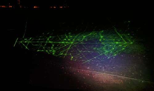 Lichtshow am Alaunplatz: - Foto: Marc McLovin