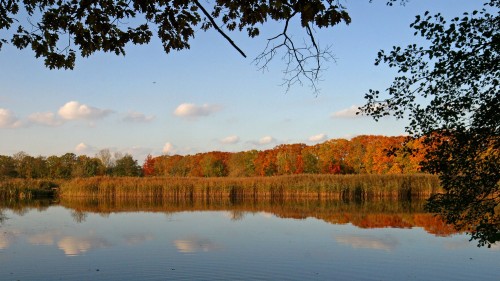 Wiesenteich Mönau im Herbst - Foto: PR/Dirk Weis