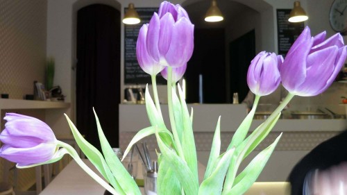 Der einzige Tisch füllt den halben Raum.