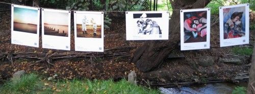 Die Bilder der Waterlounge-Wanderausstellung sind in der Creperie La Galette zu besichtigen