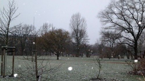 Noch mehr solcher Flocken und sinkende Temperaturen, dann wirds was mit den Skisprungmeisterschaften