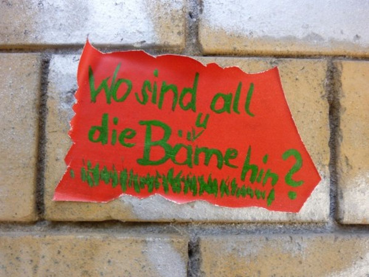 Berechtigte Frage in der Lößnitzstraße ... Foto: streetart-dresden.de