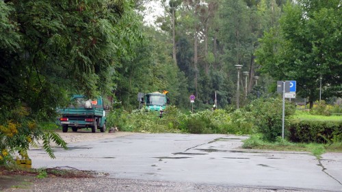 Auch rund um die wilden Parkplatzflächen wird geräumt und gesäubert.