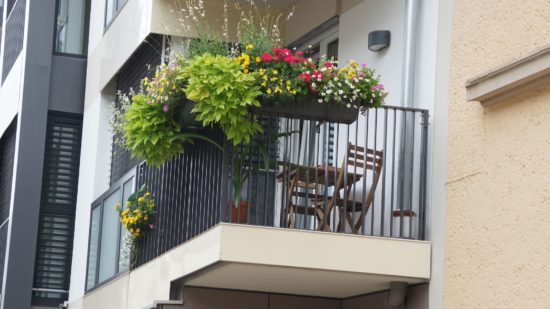 Balkonsommer auf der Tieckstraße