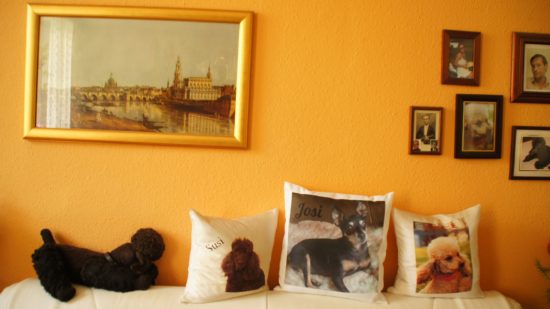 Seit dem Tod des Mannes hält Frau Krüger Hunde