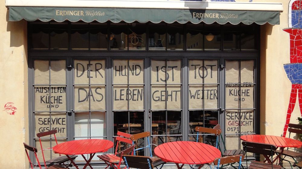 Verwirrende Schilder vor dem betrunkenen Hund im Kunsthof - Foto: Anton Launer