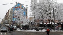 Winterbäume an Katys Garage.