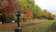 Genesung im Rosengarten im November 2016