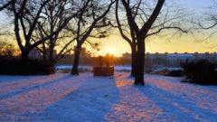 Wenn die Sonne über Johannstadt aufgeht.