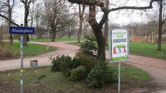 Weihnachtsbaumlagerstätte am Alaunplatz