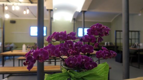 Noch etwas karg eingerichtet - das Makamaka.