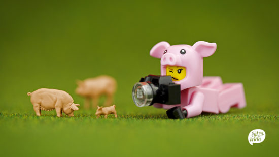 Lego kann auch einen politischen Kontext haben.