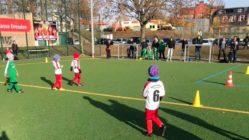 Fußball: Nachwuchs-Trainer gesucht Nachwuchs-Kicker beim Sportfreunde 01 Dresden Nord