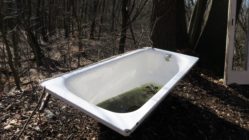 Wer schleppt eigentlich eine Badewanne in den Wald?