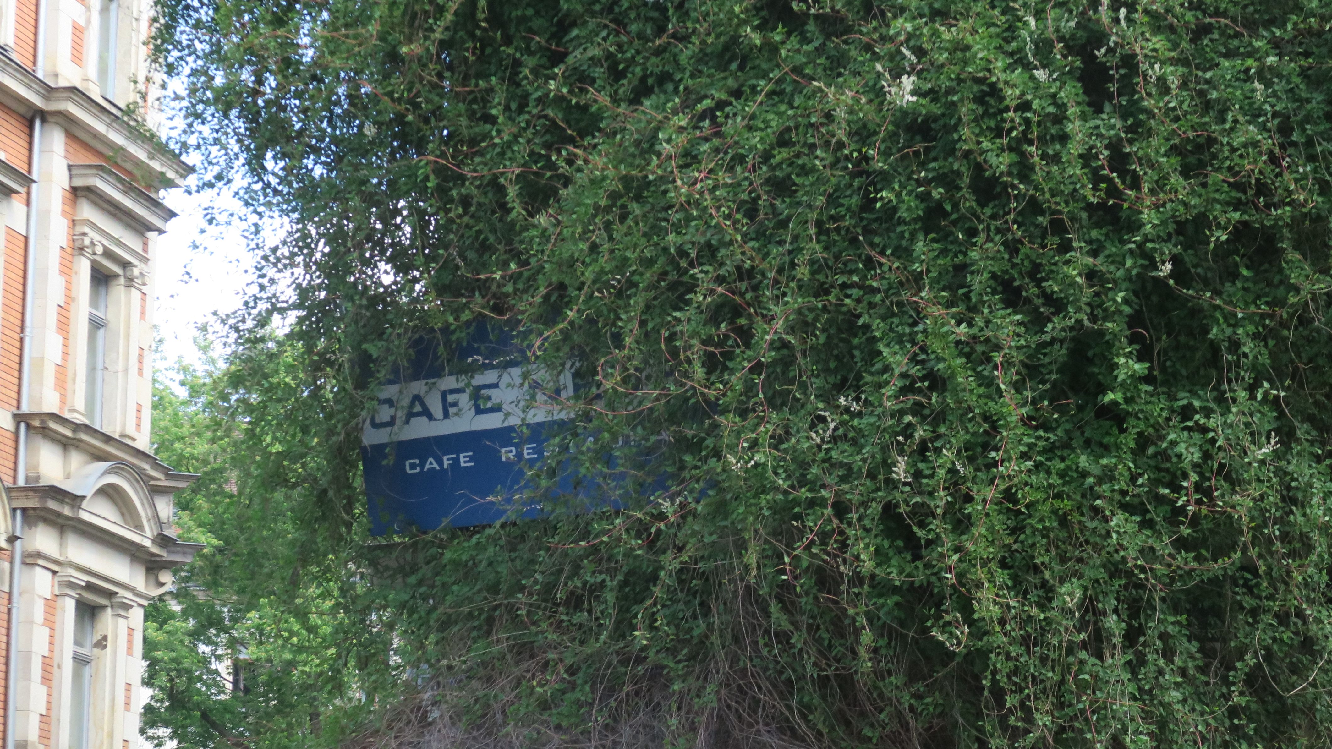 Ladenschild wird von Pflanzen verschlungen