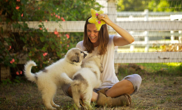 Unsere große kleine Farm