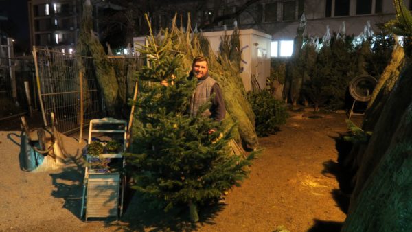 Der Mann mit den Bäumen.