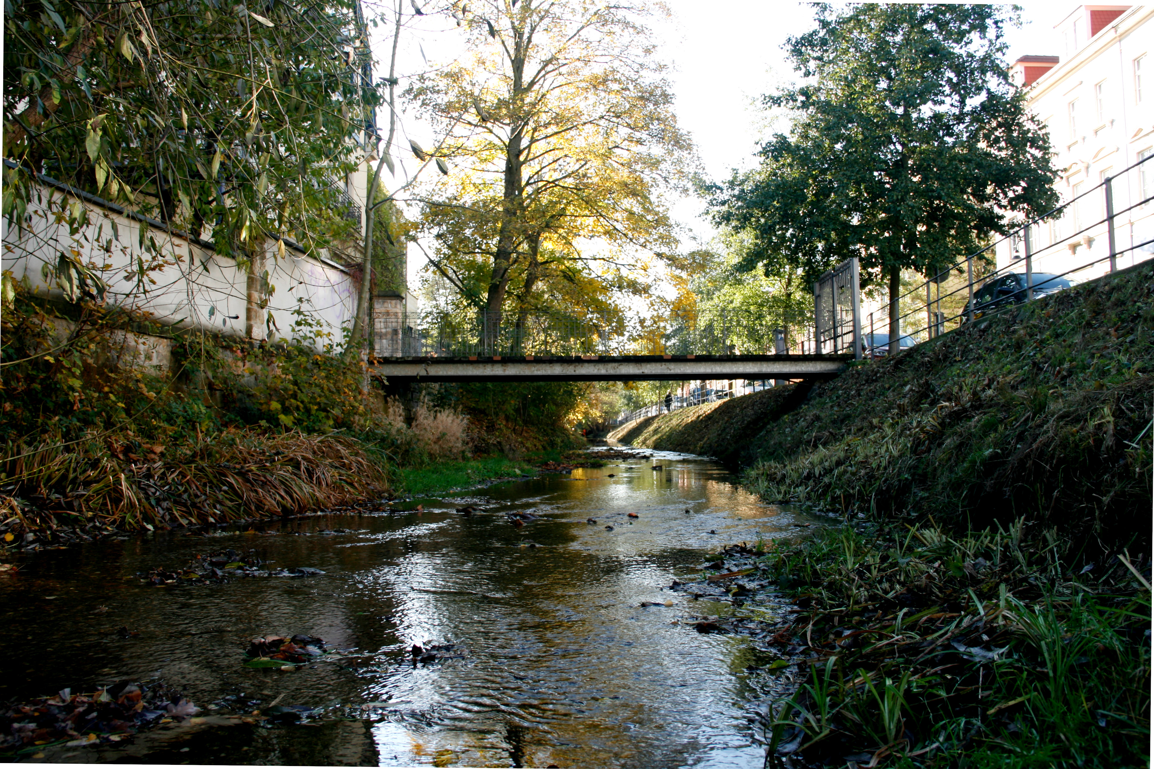 Ein Paradies für Erholung aber auch ein Paradies für Müll.