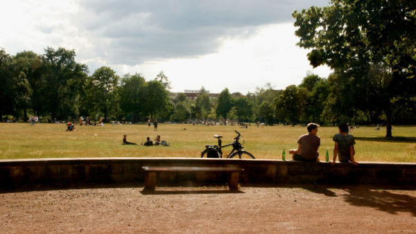Aktuell nicht ganz so grün - der Alaunplatz