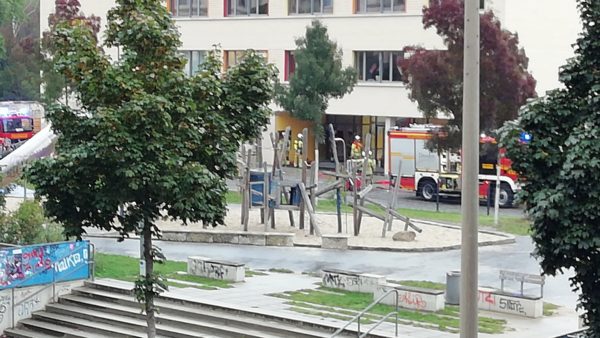 Die Kids der 148. Grundschule haben die Übung mit Bravour bestanden - Foto: Kathrin