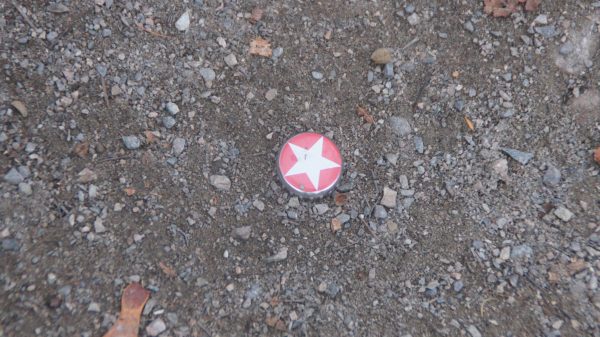 Sternhagel auf der Löbauer Straße. Nicht nur die Herrnhuter schimmern hier. Foto: Philine