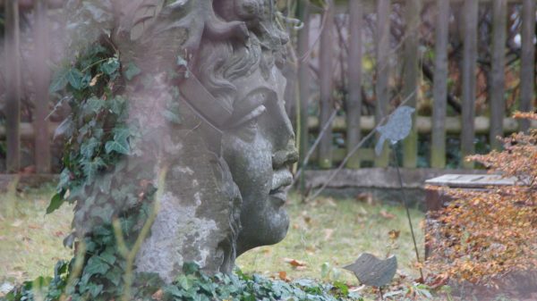 Ein mystischer Kopf durchbricht die schöne Grasnabe. Foto: Philine