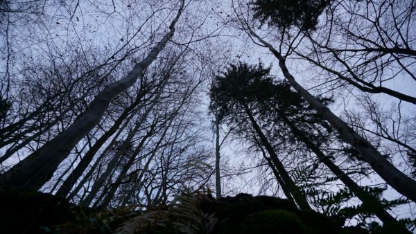 Aufziehen der Nacht - Foto: Jonas Breitner