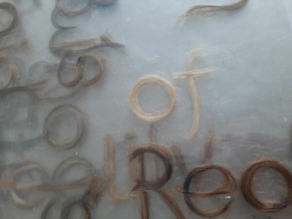 "Atetliersit". Foto: Svea Duwe