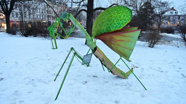 Auf der noch eingeschneiten Wiese am Albertplatz Ostseite) steht dieses grüne Kunstwerk - Foto: Anja Schneider
