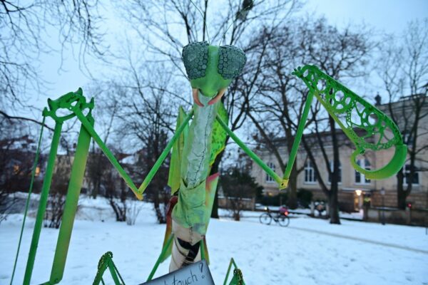 Guckt ganz schön freundlich, die riesige, grüne Heuschrecke vom Albertplatz - Foto: Anja Schneider