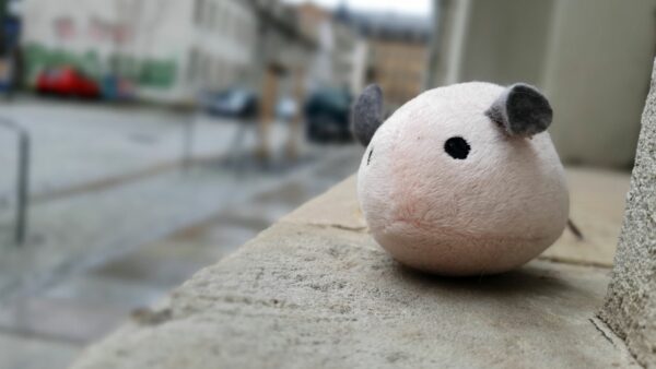 Coole Instafotos lassen sich in der Neustadt übrigens auch mit Stofftieren machen.