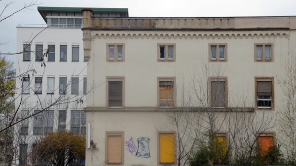 Labbrige Lamellen künden vom Verfall. Foto: Philine