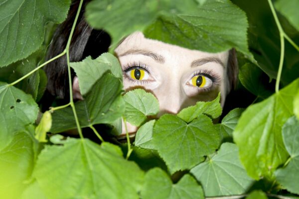 Ein Hör-Spaziergang durch Ostragehege erforscht das Mensch-Tier-Verhältnis. Foto: Sebastian Hoppe