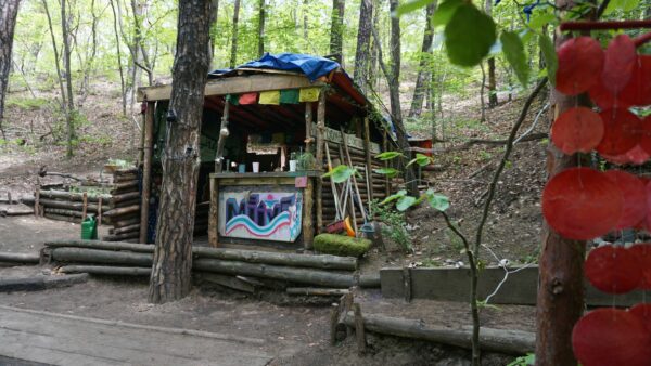 Bunte Hütte im Wald - Foto: Jonas Breitner