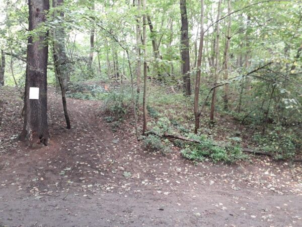 Hier ereignete sich der Vorfall. Foto: privat