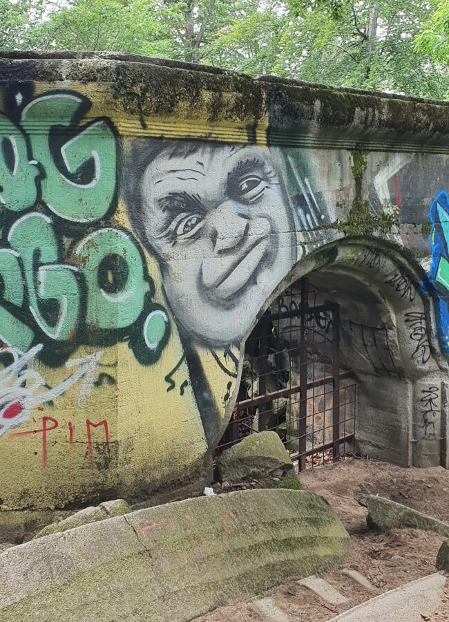 Ruine des Wolfshügelturms - Foto: Archiv Anton Launer