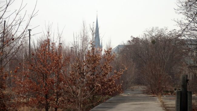 Das Gelände am Alten Leipziger Bahnhof ist in einem verwilderten Zustand.