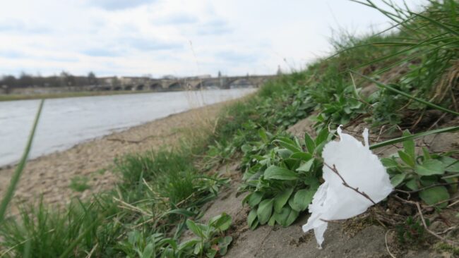 Müll an der Elbe Foto: Philina Eppers