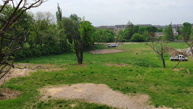 Auf dieser Fläche zwischen dem Zaun und der Tannenstraße könnte ein der drei Radwegsvarianten entstehen.