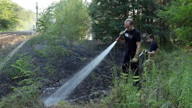 Brand an der Eisenbahnstrecke Richtung Klotzsche - Foto: Roland Halkasch