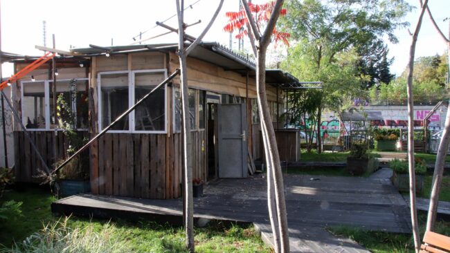 Holzkino am Bischofsplatz