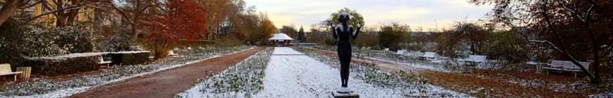 Header November 2023