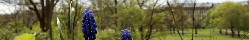 Alaunpark - Header im April 2024