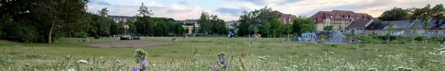 Alaunplatz im Juni 2024