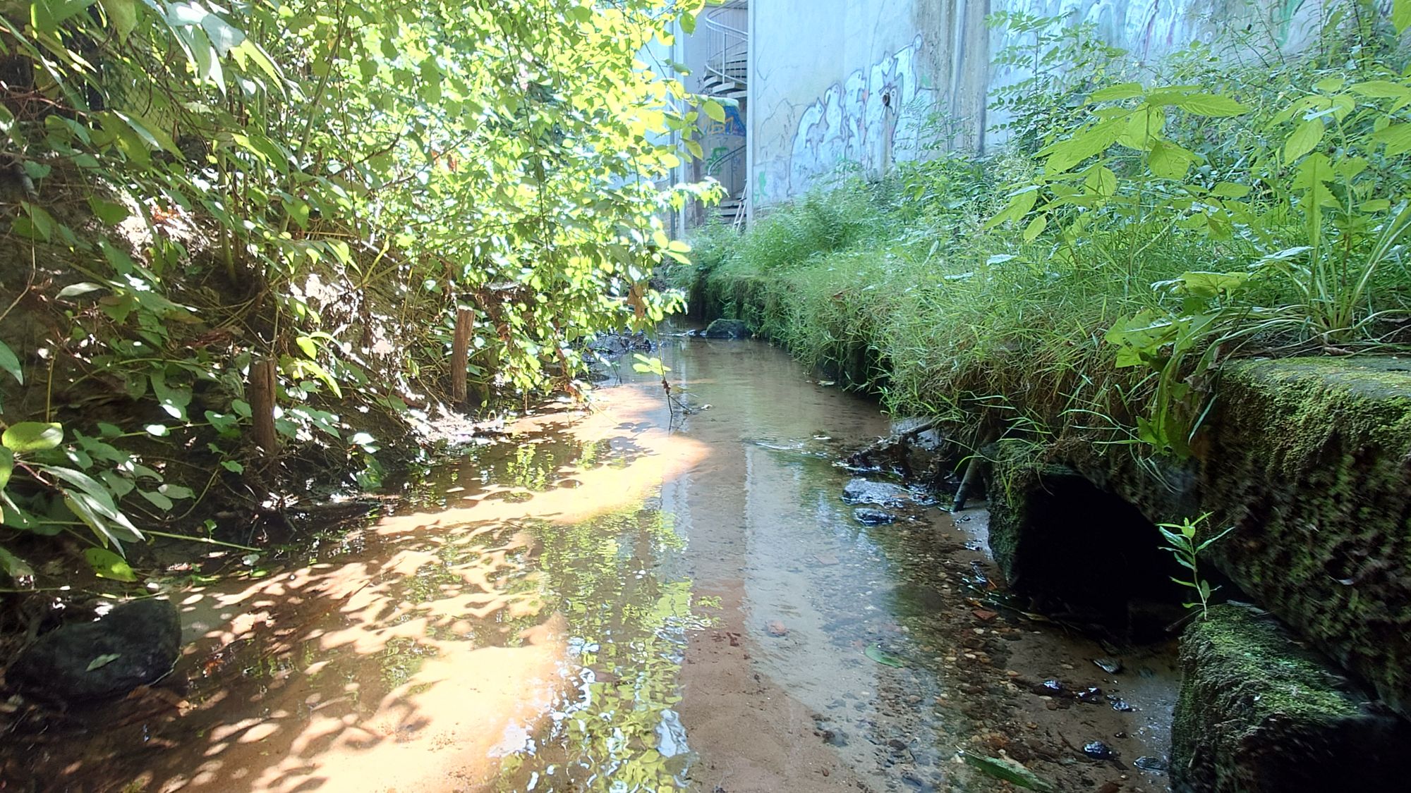 Die Stadt hat ein Wasser-Entnahme-Verbot verhängt. Foto: Anton Launer