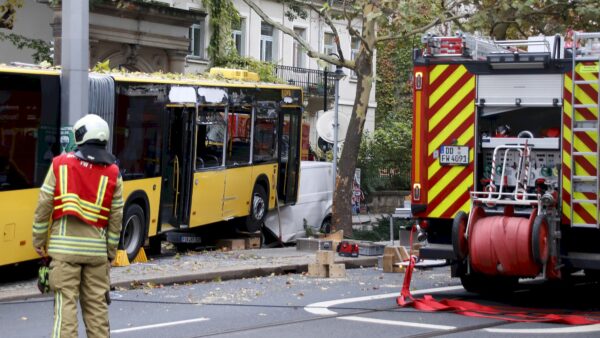 Ein Bus ist am Morgen des 7. Oktober auf der Bautzner Straße von der Fahrbahn abgekommen und gegen einen Baum und einen geparkten Kleintransporter gestoßen. Foto: Archiv Anton Launer