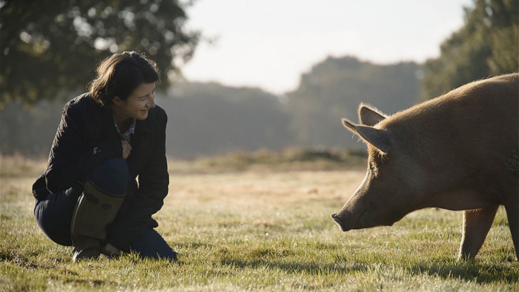 2024-10-10-Wildes-Land-Die-Rueckkehr-der-Natur