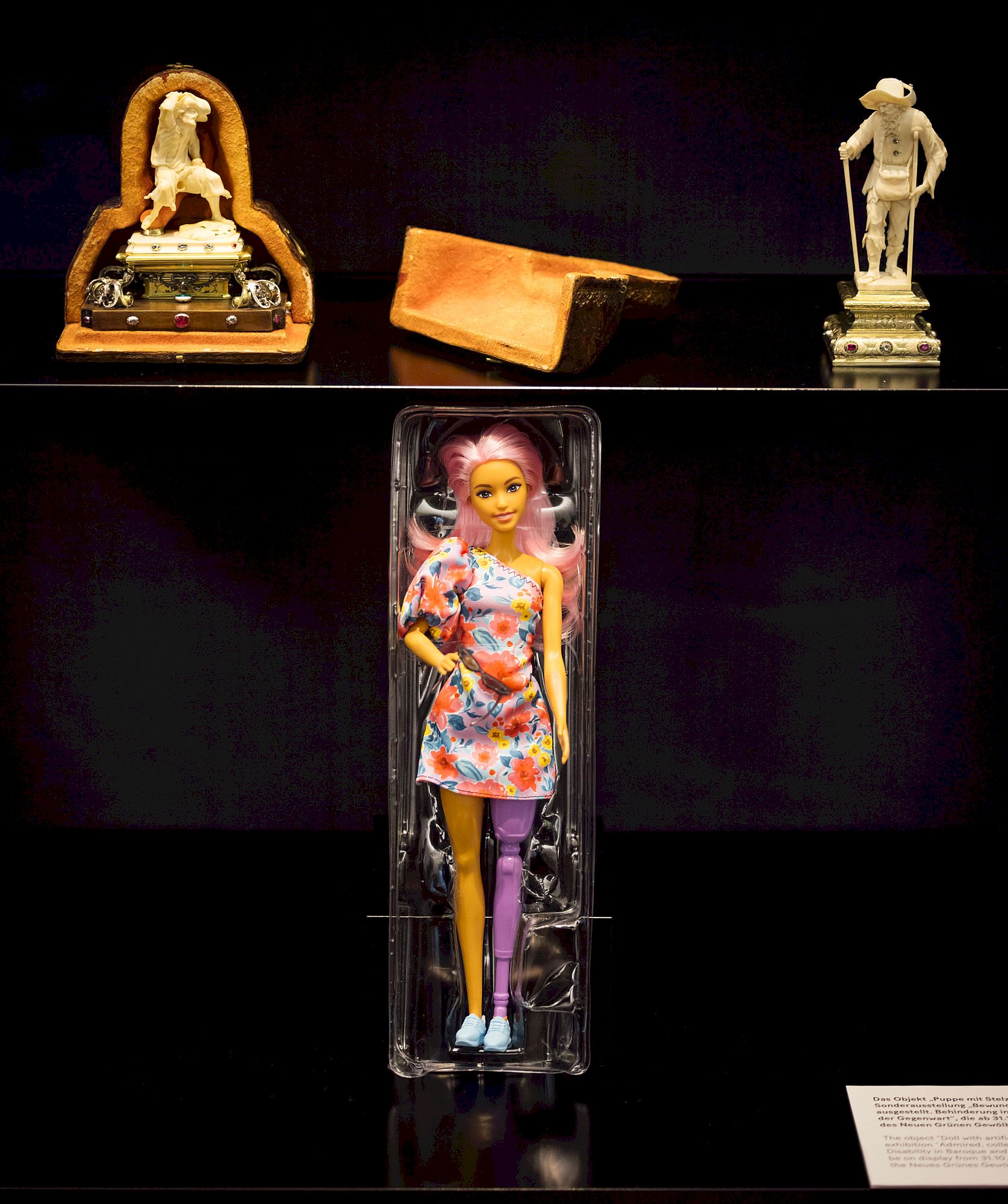 Ausstellungsansicht "Bewundert, gesammelt, ausgestellt", Foto: Olliver Killig